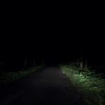 38 Tahun Sejak Berdiri, Astra Finansial Miliki Sebelas Lembaga Jasa Keuangan