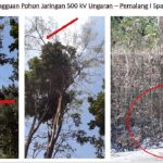 Kontingen Garuda Satgas Monusco Raih Medali Kehormatan PBB