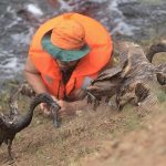 Mabesal Peringati HUT ke-74 Kemerdekaan RI