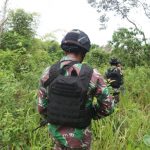 Tata Cara, Jumlah Rakaat dan Bacaan Sholat Tarawih