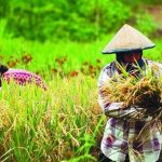 Ezviz Perkenalkan Smart Camera CCTV C1HC, Bantu Orang Tua Pantau Aktivitas Anak di Rumah