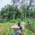 Desa Tolok Punya Jalan Yang Layak, Dandim Sambas Jelaskan Program TMMD