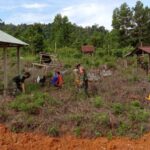 Danramil dan Babinsa Jajaran Kodim 1208/Sambas Terima  Sosialisasi Aplikasi Silacak