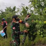Menkeu Sri Mulyani, Program Pemulihan Ekonomi Nasional 2020 Bantu Jutaan UMKM
