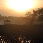 Pawai HUT RI ke-77 di Jakarta