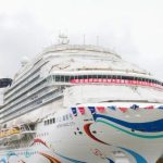 Kepala BNPB Minta Polri dan TNI Tindak Tegas Pembakar Hutan dan Lahan