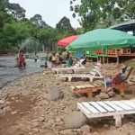 JIS Pakai Rumput Rekomendasi FIFA tetapi Disebut Tidak Standar, Begini Keunggulan Rumput Hybrid