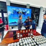 Panglima TNI dan Kapolri Laksanakan Pemantauan Keamanan Malam Tahun Baru 2024