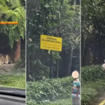 Presiden Prabowo Siapkan Beberapa Kebijakan Strategis untuk Dorong Ekonomi Nasional